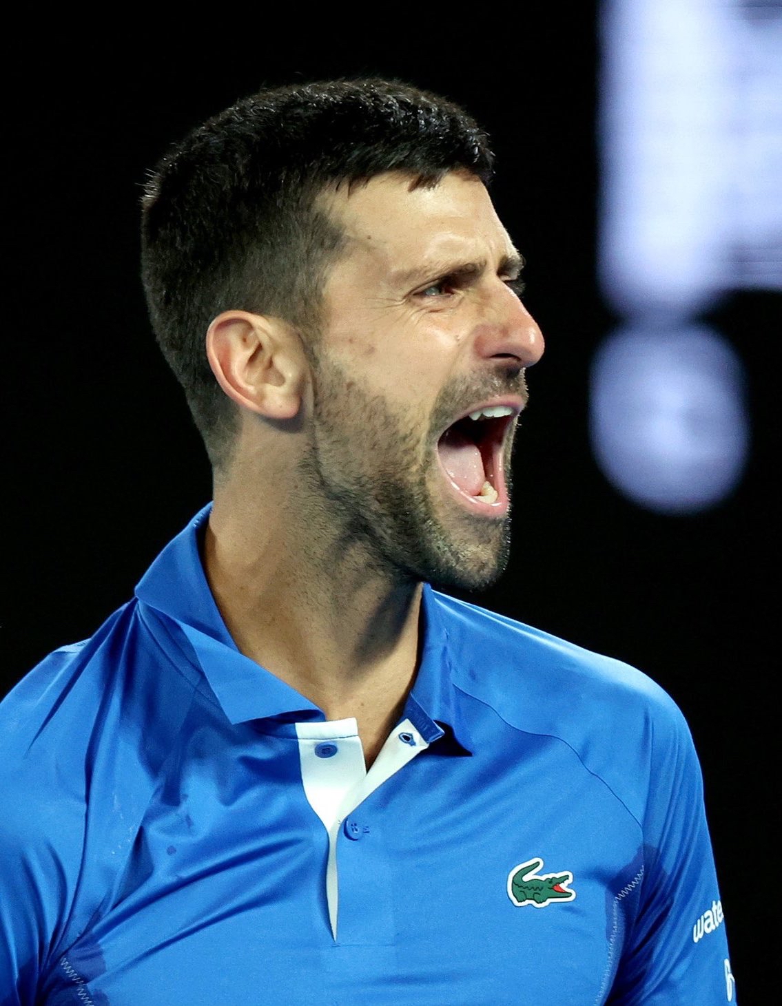 意大利网球队绝杀澳大利亚网球队，德约科维奇绝境逆转的简单介绍