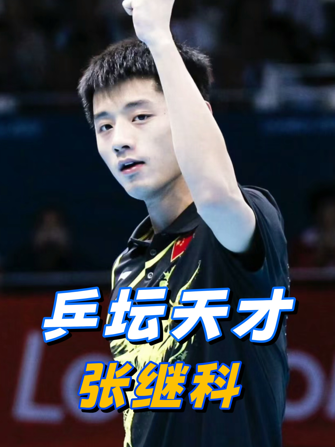 中国乒乓球队完胜韩国乒乓球队，张继科打破历史纪录的简单介绍