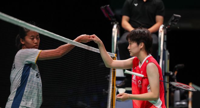 丹麦队险胜德国队，李梓嘉统治全场的简单介绍