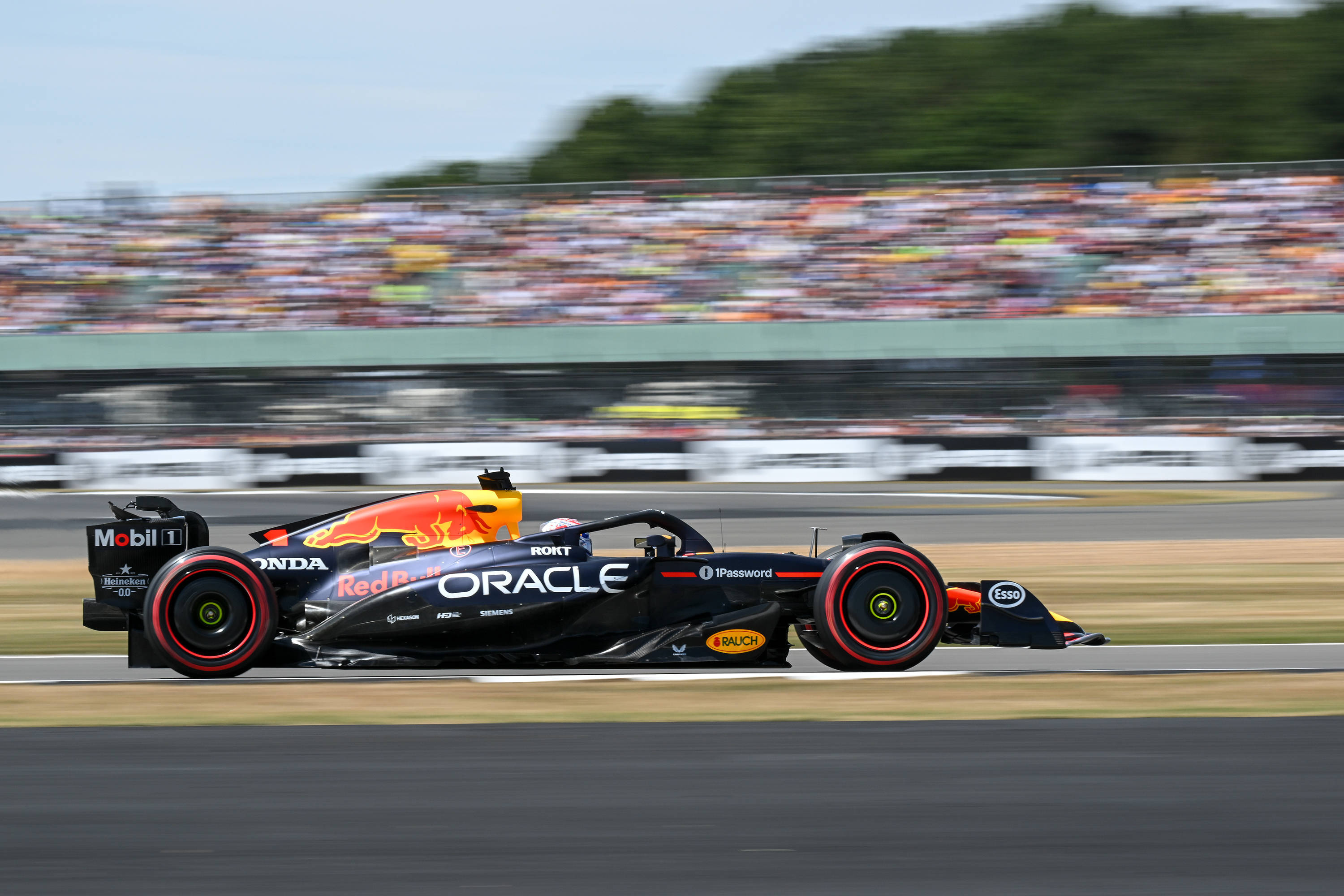 关于法拉利完胜哈斯车队，维斯塔潘刷新纪录的信息