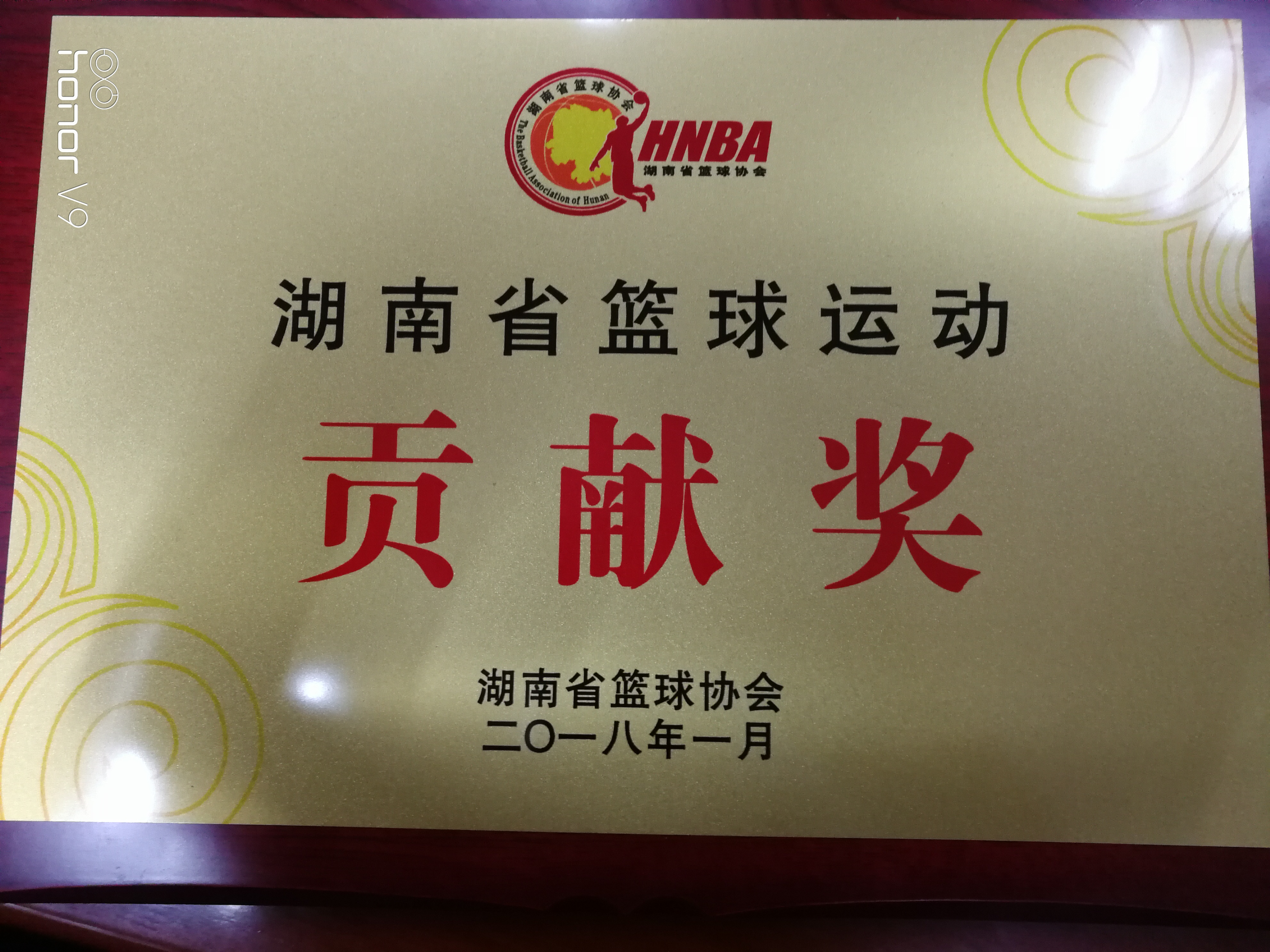 包含南美篮球协会发起国际友谊赛，迎接挑战的词条