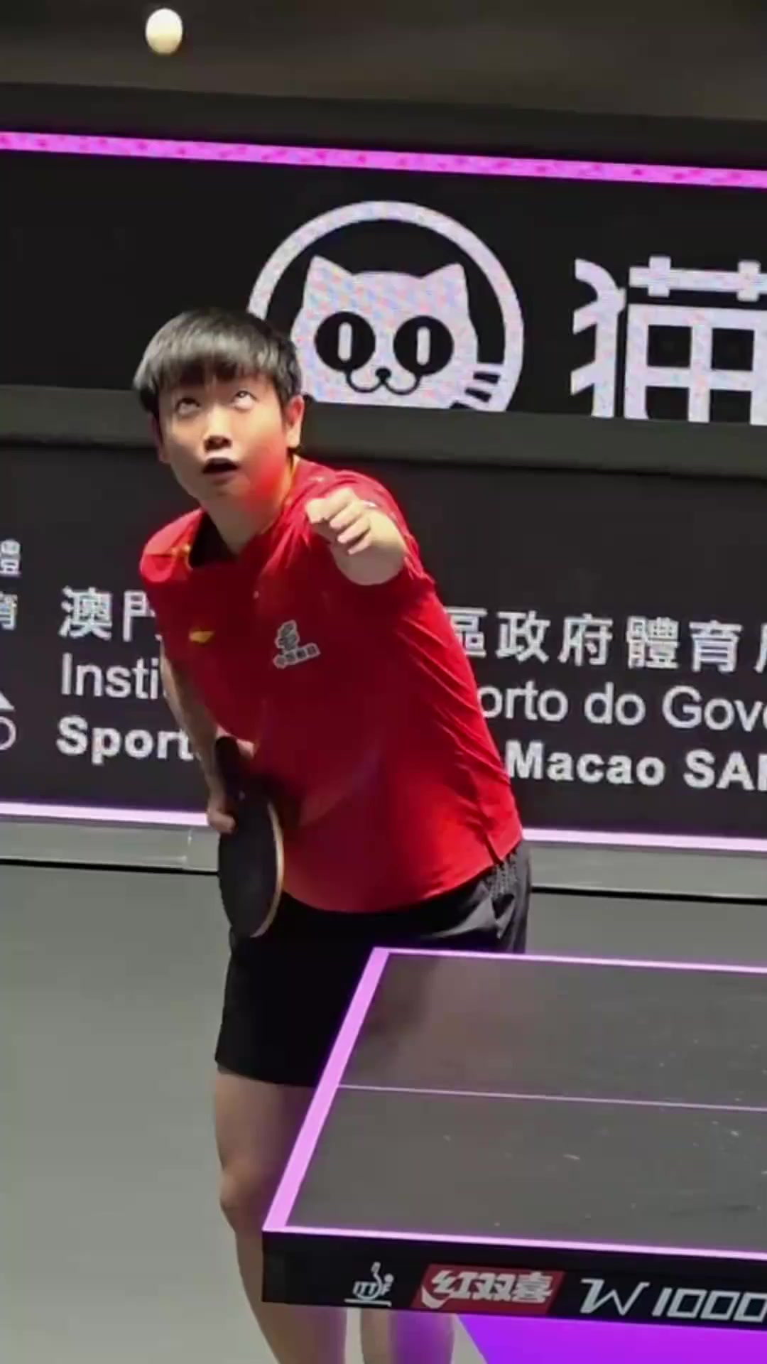 法国羽毛球队爆冷印尼羽毛球队，马琳关键制胜的简单介绍