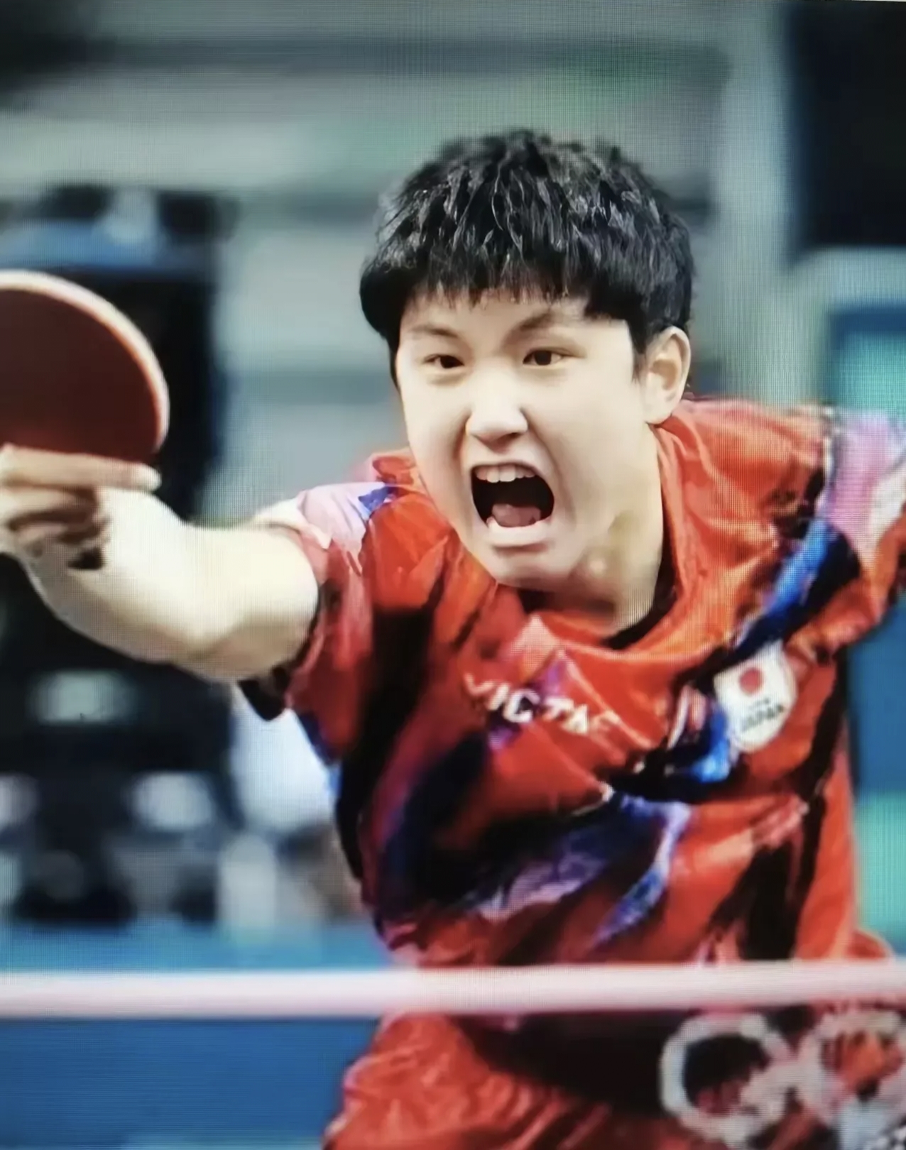 熊猫直播平台-日本队鏖战韩国队，张本智和点燃赛场的简单介绍