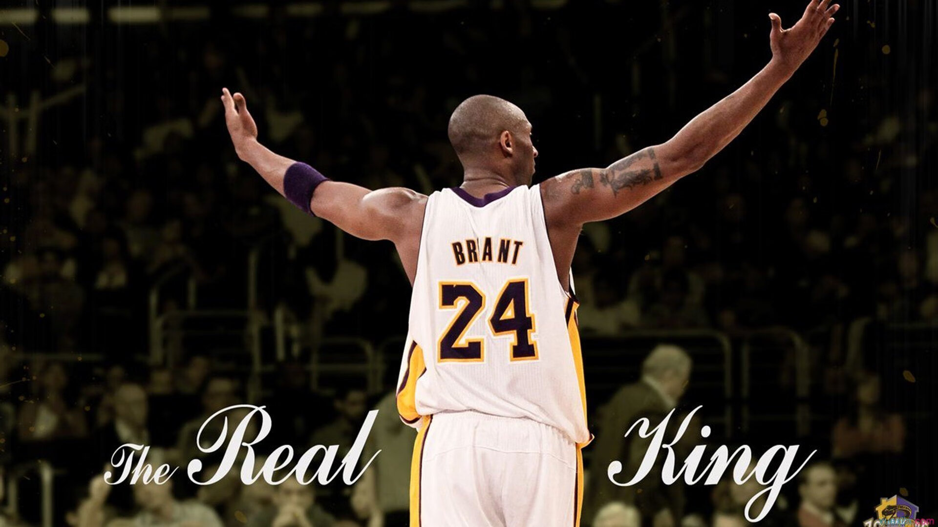 年度焦点之战之夜，莫德里奇冠军级表现照亮绿茵场