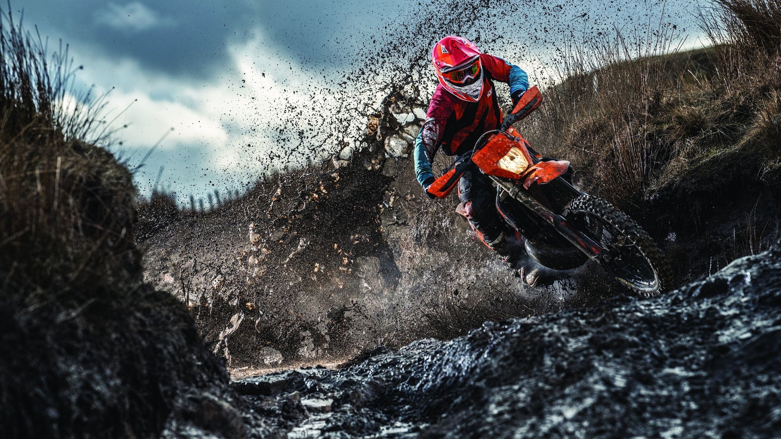 锡安·威廉姆森，迈阿密热火的试金石，底特律活塞的终结者